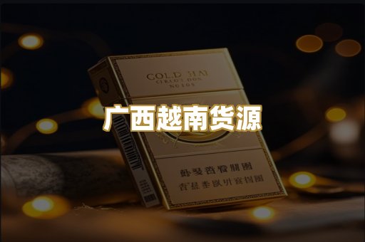 广西越南货源